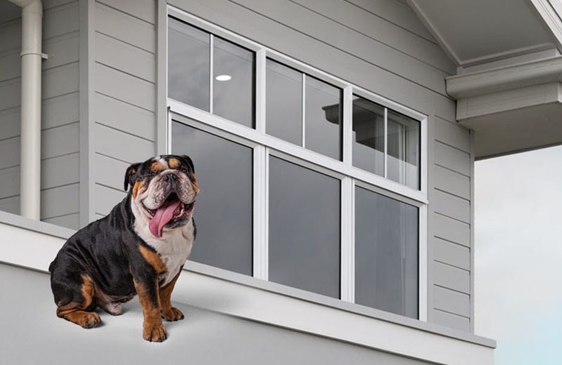 Same Frames, Smarter Panes